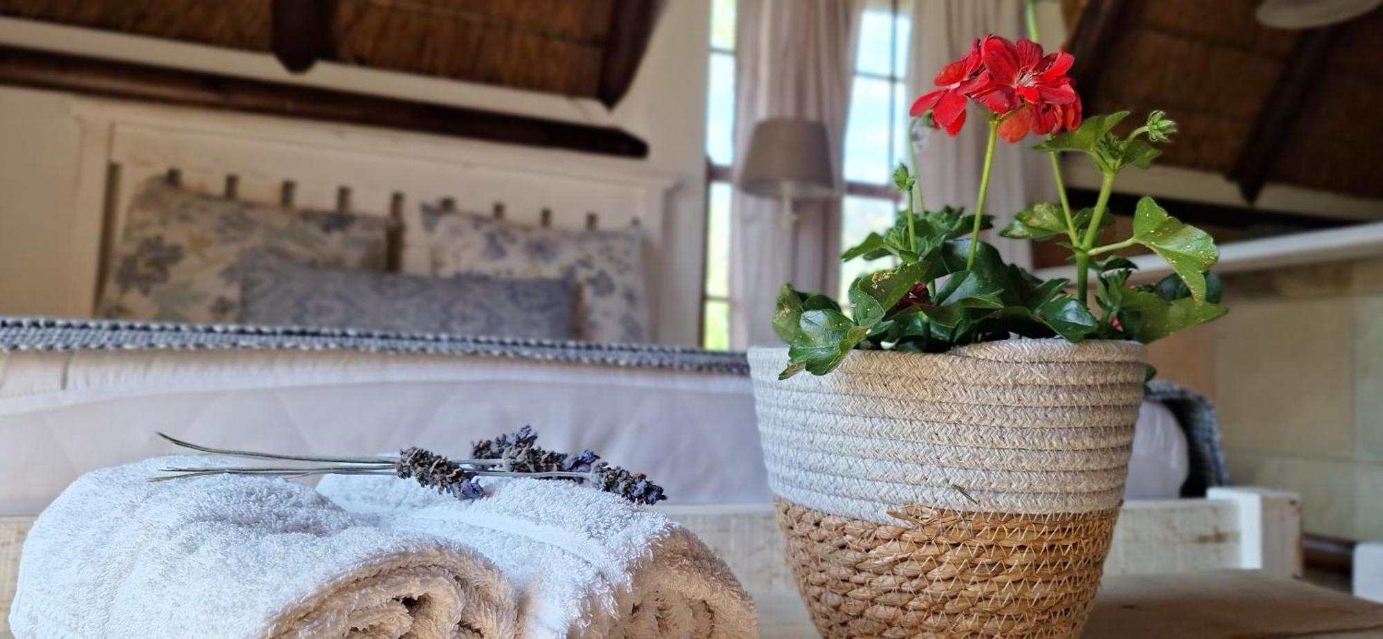 Prospect Farm Cottages George Εξωτερικό φωτογραφία